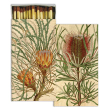 Load image into Gallery viewer, Matches - Protea
